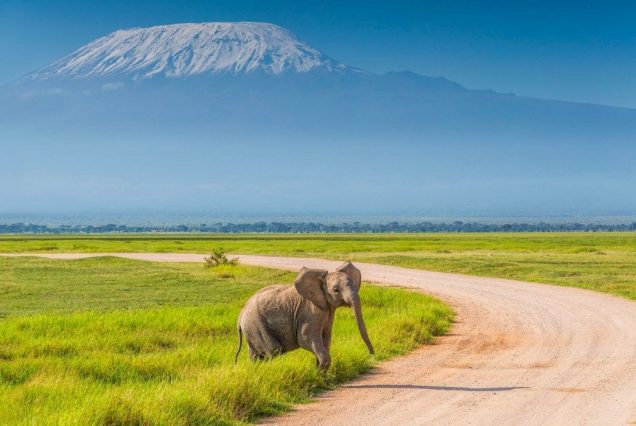 Amboseli National Park