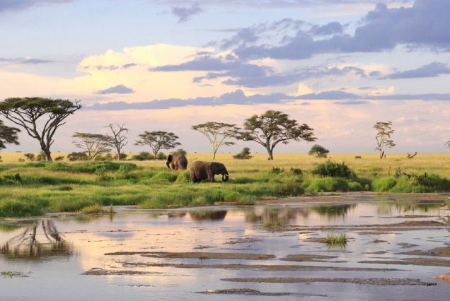 Kenya and Tanzania Budget camping safari