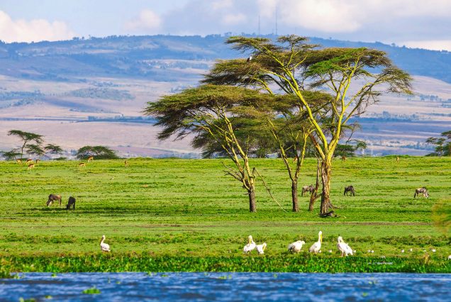 Lake Naivasha
