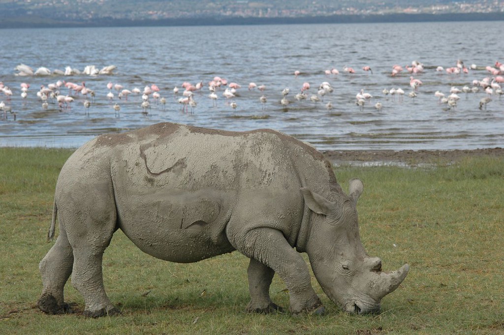3 Hells Gate Lake Nakuru
