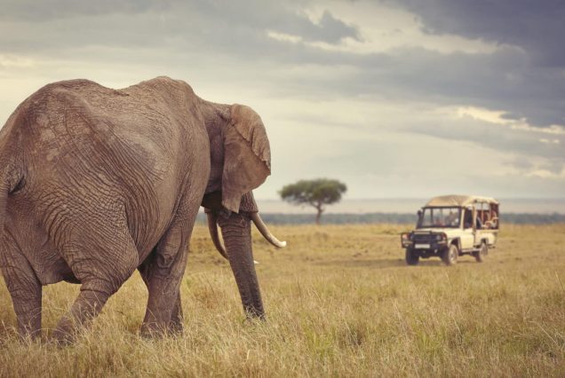 Tourists on safari at Maasai Mara