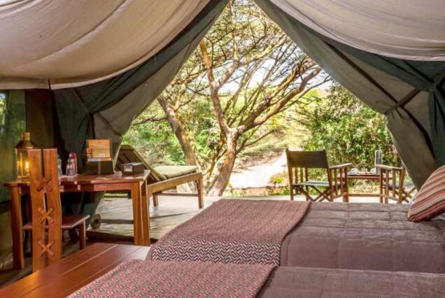 2 NIGHTS ILKELIANI CAMP