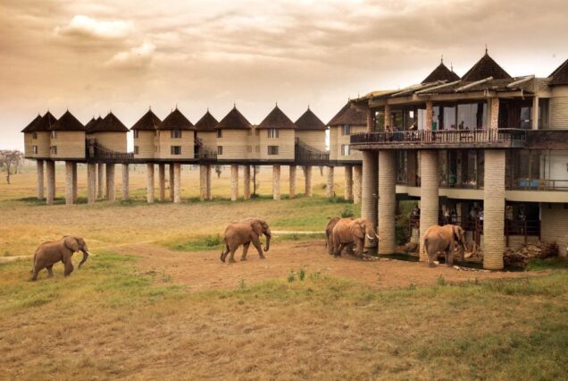 Salt Lick Safari Lodge & Taita Hills Safari Resort & Spa