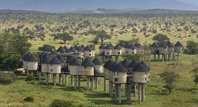 Salt Lick Safari Lodge & Taita Hills Safari Resort & Spa