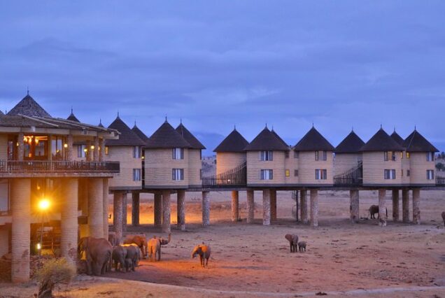 Salt Lick Safari Lodge & Taita Hills Safari Resort & Spa