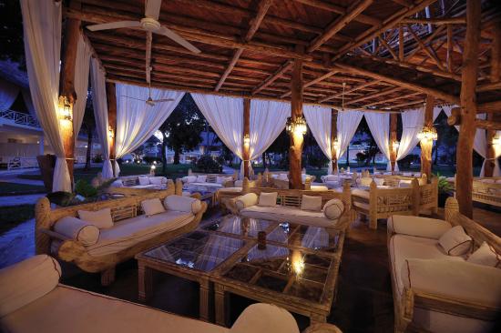 Dream Garden Sandies Tropical and Diamond Dreams of Africa