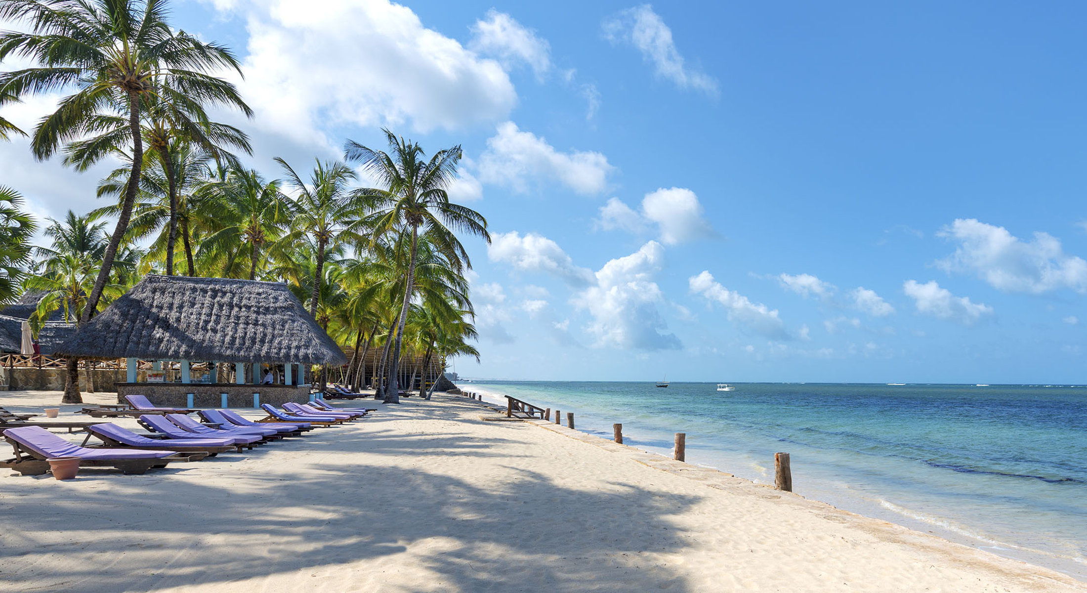 Dream Garden Sandies Tropical and Diamond Dreams of Africa