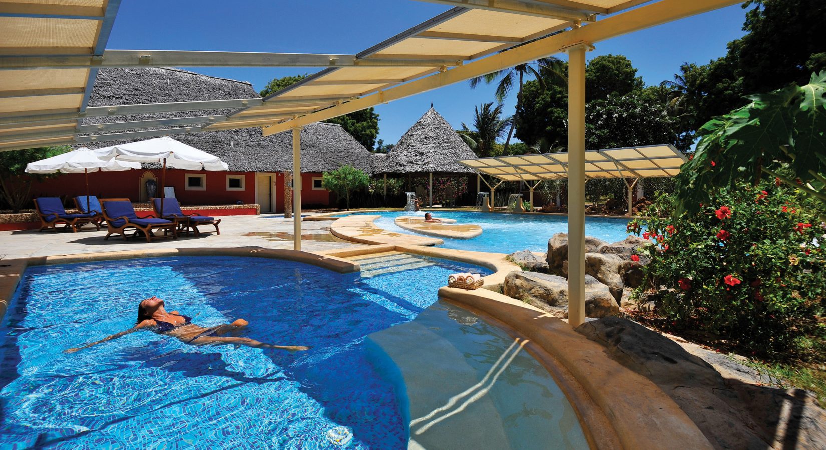 Dream Garden Sandies Tropical and Diamond Dreams of Africa