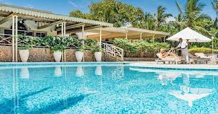 Dream Garden Sandies Tropical and Diamond Dreams of Africa