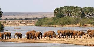 14 days Bush and Beach safari