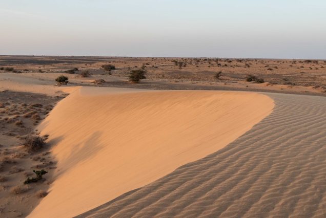 5 Days Chalbi desert safari