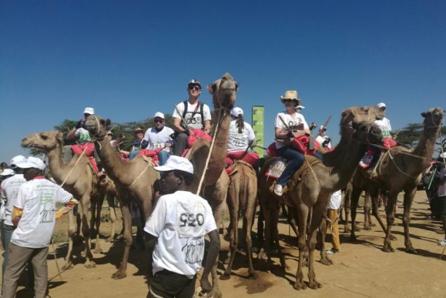 Maralal Camel Derby