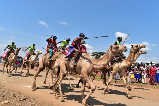 Maralal Camel Derby