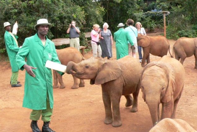 Excursions In Nairobi