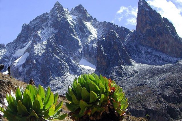 MOUNT KENYA SIRIMON-CHOGORIA ROUTE (5 DAYS