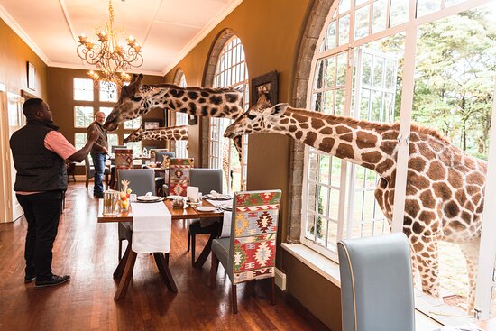 Giraffe Manor Nairobi