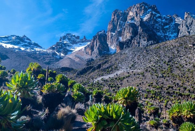Mount Kenya Chogoria-Sirimon Route (4 Days)