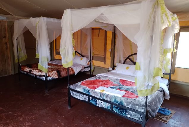 3 Days Amboseli National Park Joining Safari
