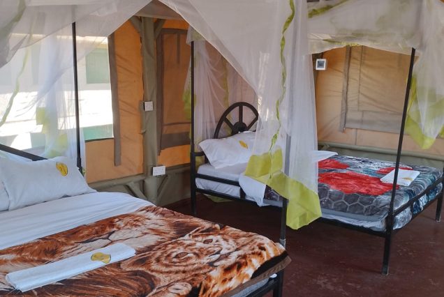 3 Days Amboseli National Park Joining Safari