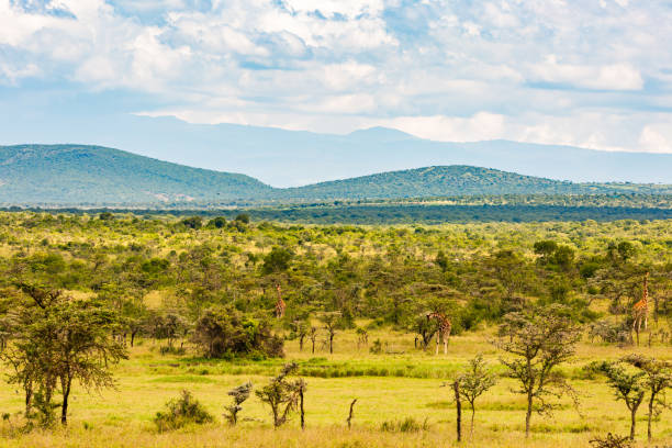 10 days 9 Nights Safari