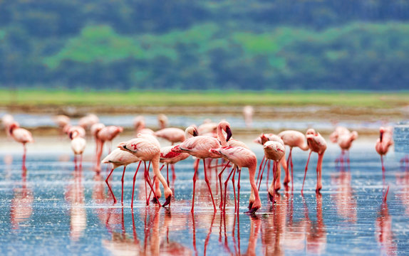 10 days 9 Nights Safari