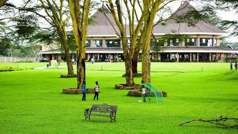 Corporate team building