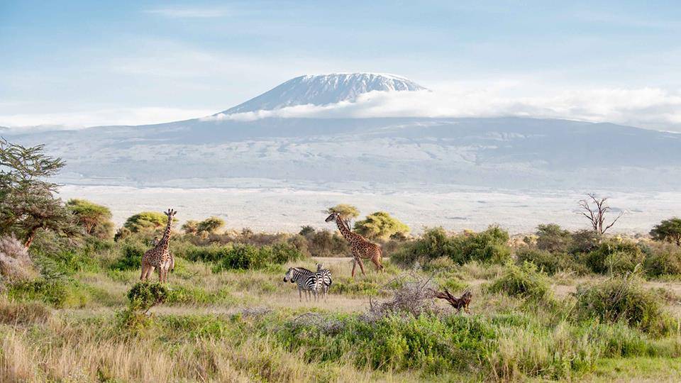 3 Days 2 Nights Tsavo East Amboseli Safari 