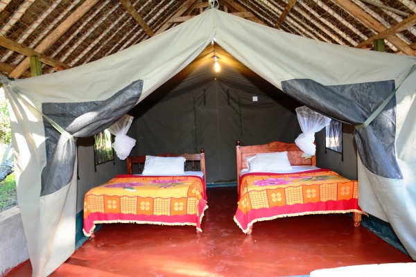 Lenchada Budget Camp- Maasai Mara