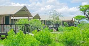 Nyati Camp Amboseli - A Wildlife Haven in Kenya