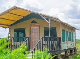 Nyati Camp Amboseli - A Wildlife Haven in Kenya