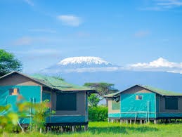 Nyati Camp Amboseli - A Wildlife Haven in Kenya