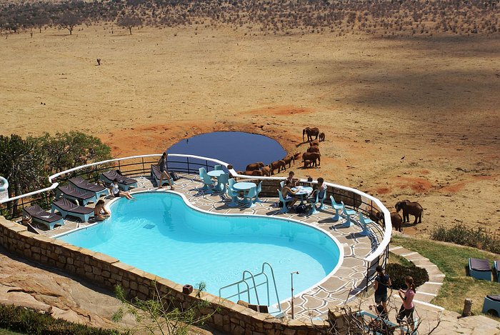 Voi Safari Lodge Tsavo East National Park 