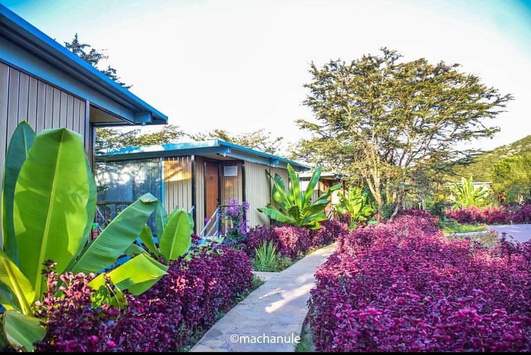 Jambo Mara Safari Camp