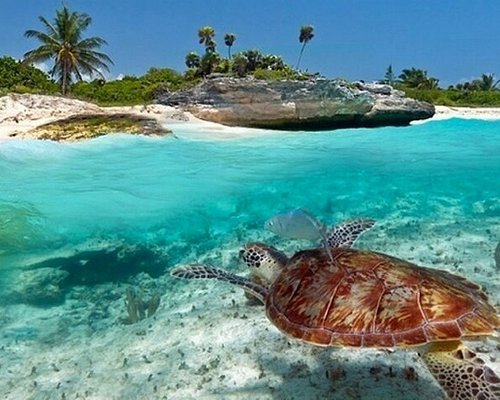 Trips and Excursions in Zanzibar