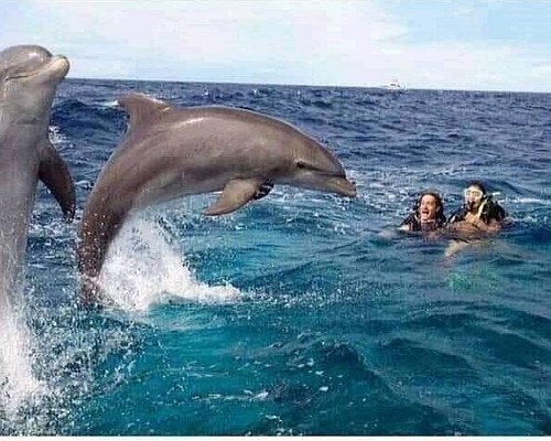 Trips and Excursions in Zanzibar