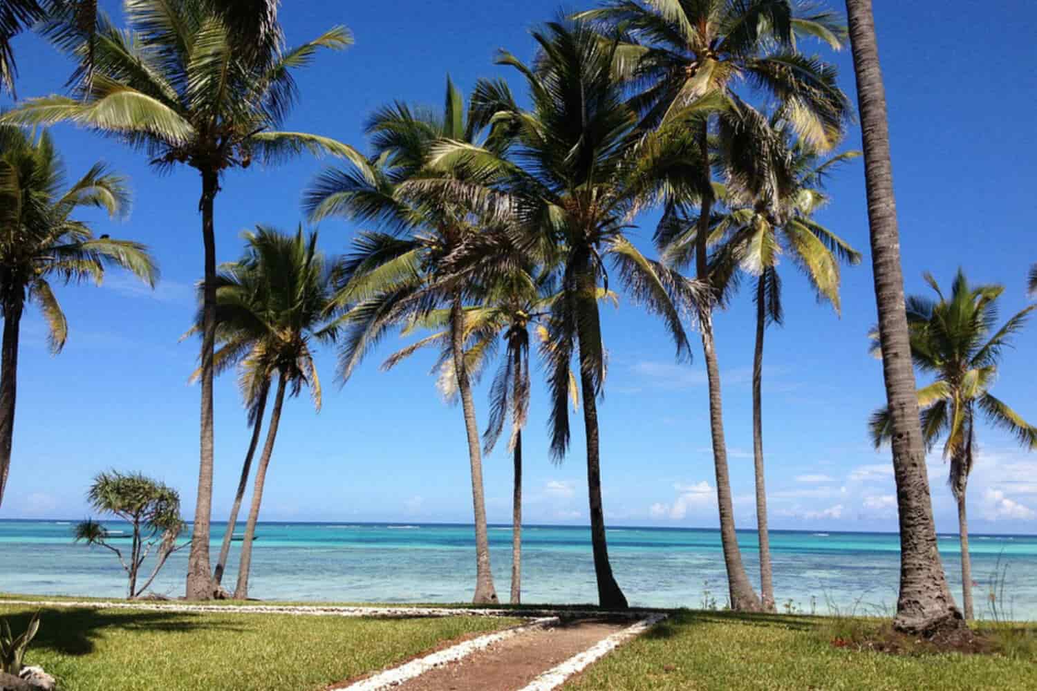 Trips and Excursions in Zanzibar