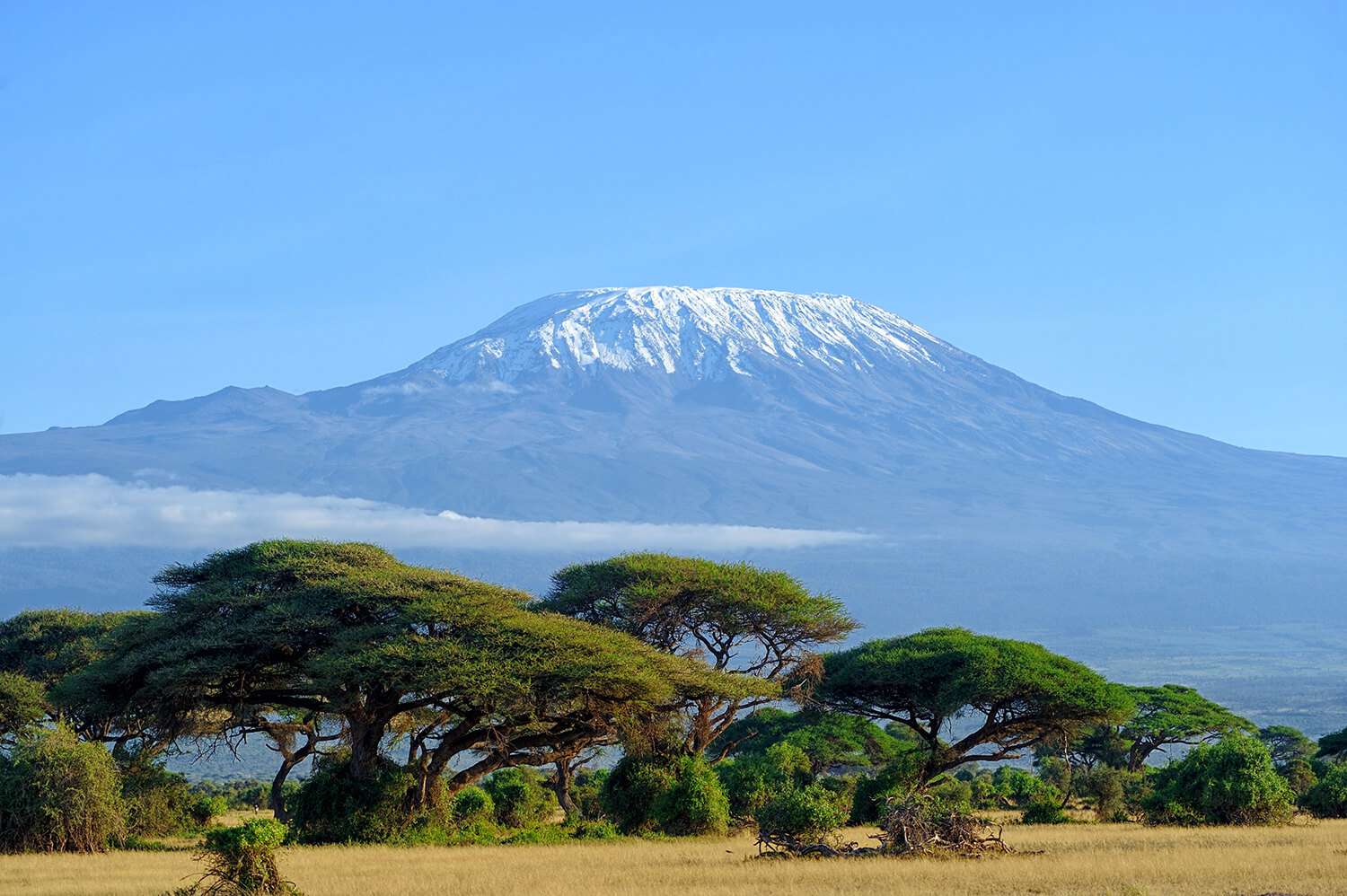 3 Days 2 Nights Amboseli Joining Trip