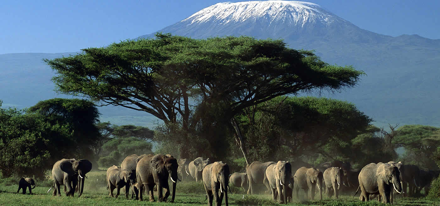 3 Days 2 Nights Amboseli Joining Trip