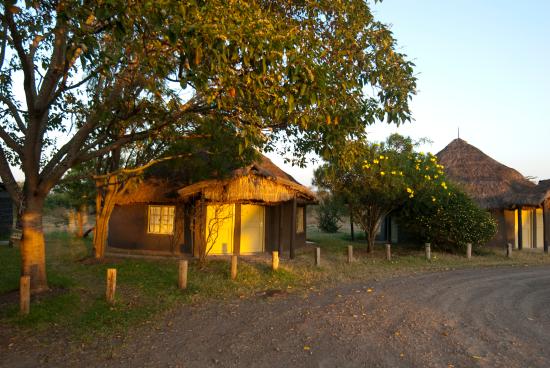 2 days 1 Nights Olpajeta Conservancy