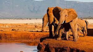 2 Days Tsavo East from Nairobi