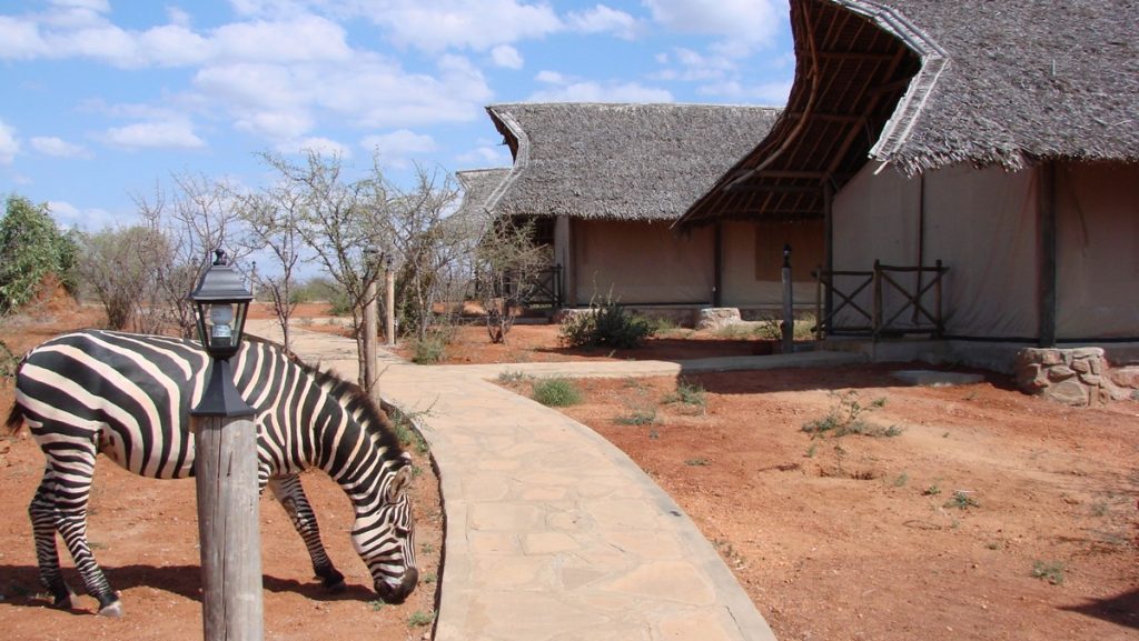 Maneaters Camp Tsavo west