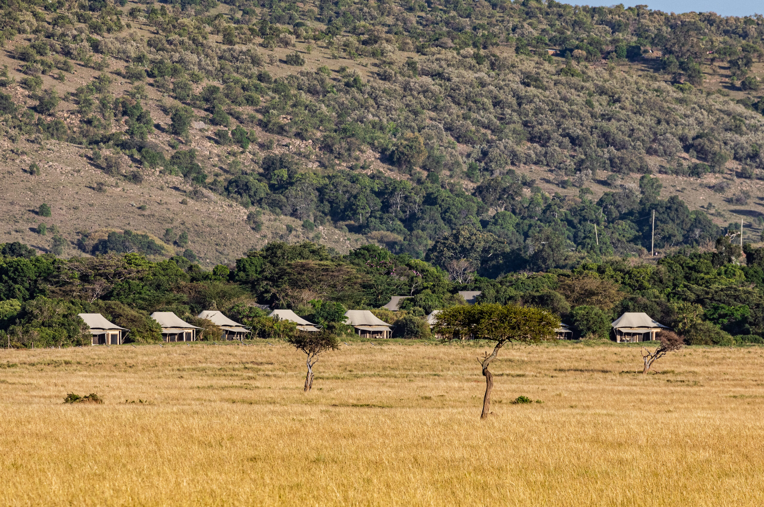 Best Time to Explore Kenya and Tanzania with Lutea Africa Safaris