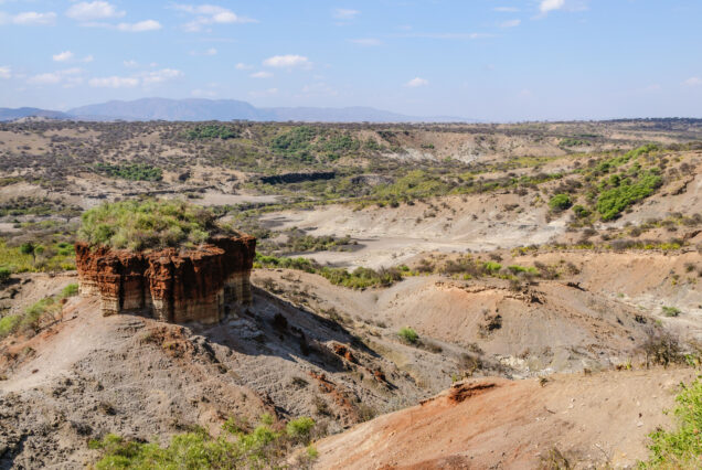 4 Days Safari to Tarangire, Ngorongoro Crater & Ndutu Migration