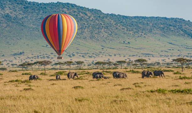 5 Days Serengeti Balloon Safari