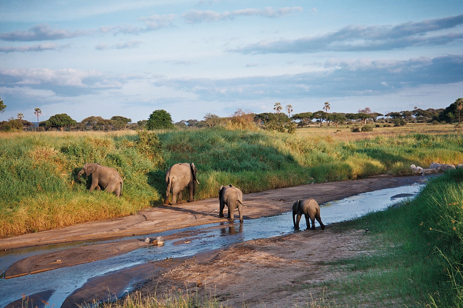 6 Days Safari and Zanzibar Holiday