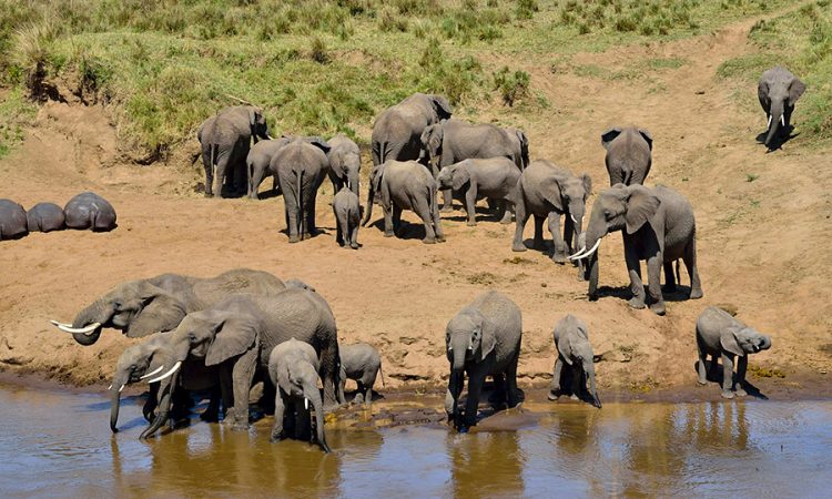 6 Days Safari and Zanzibar Holiday