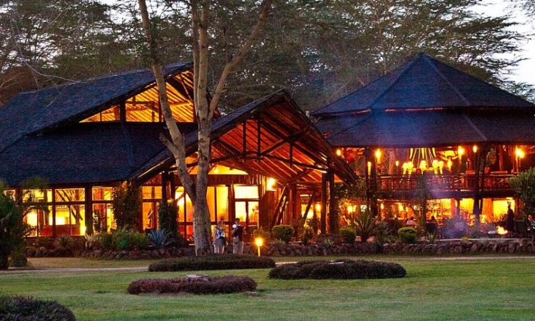 Wilderness Retreats Exploring the Top 10 Lodges and Camps in Kenya