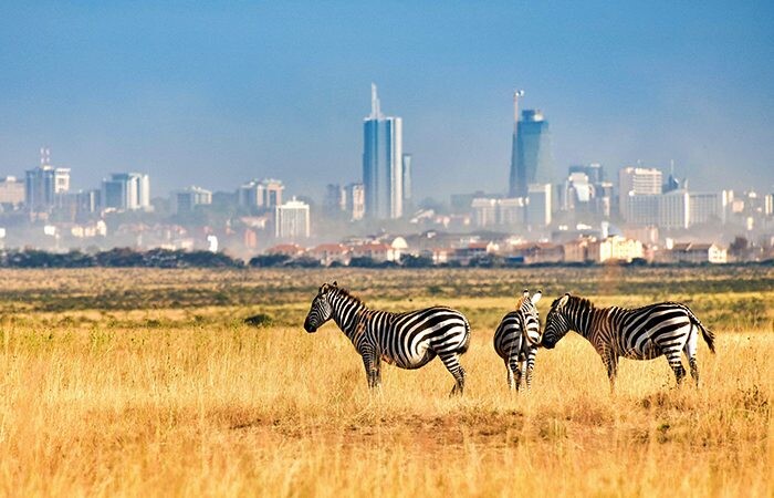Top 10 Tourist Attractions in Kenya
