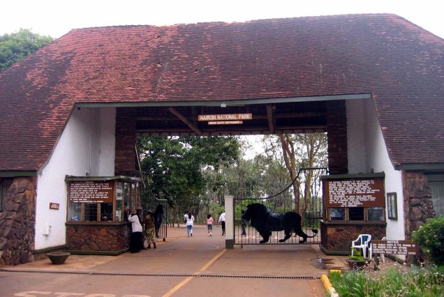 Daily Nairobi National Park and David Sheldrick Explore the wonders of Nairobi National Park and the heartwarming experience