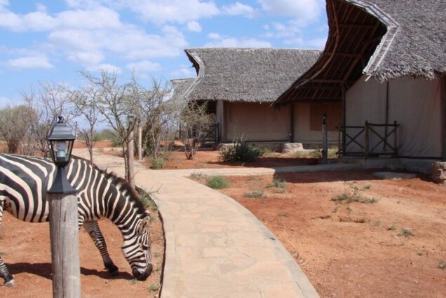 2-Day 1-Night Safari at Man Eater Lodge